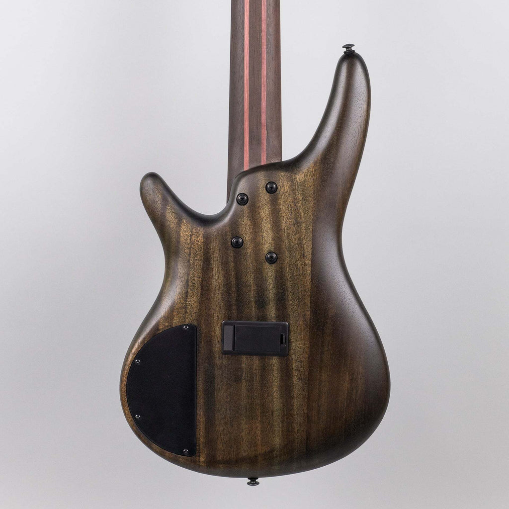 Ibanez SR1605B-TSF 5-String Bass Guitar in Tropical Seafloor Flat