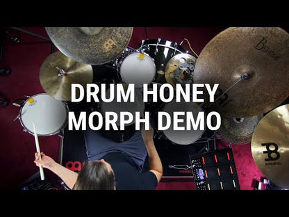 Meinl Drum Honey, 6-Pack