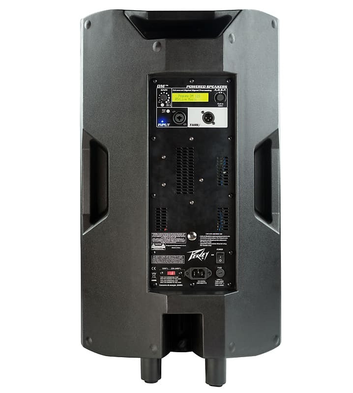 Peavey DM115 1000w Powered Speaker 2 way