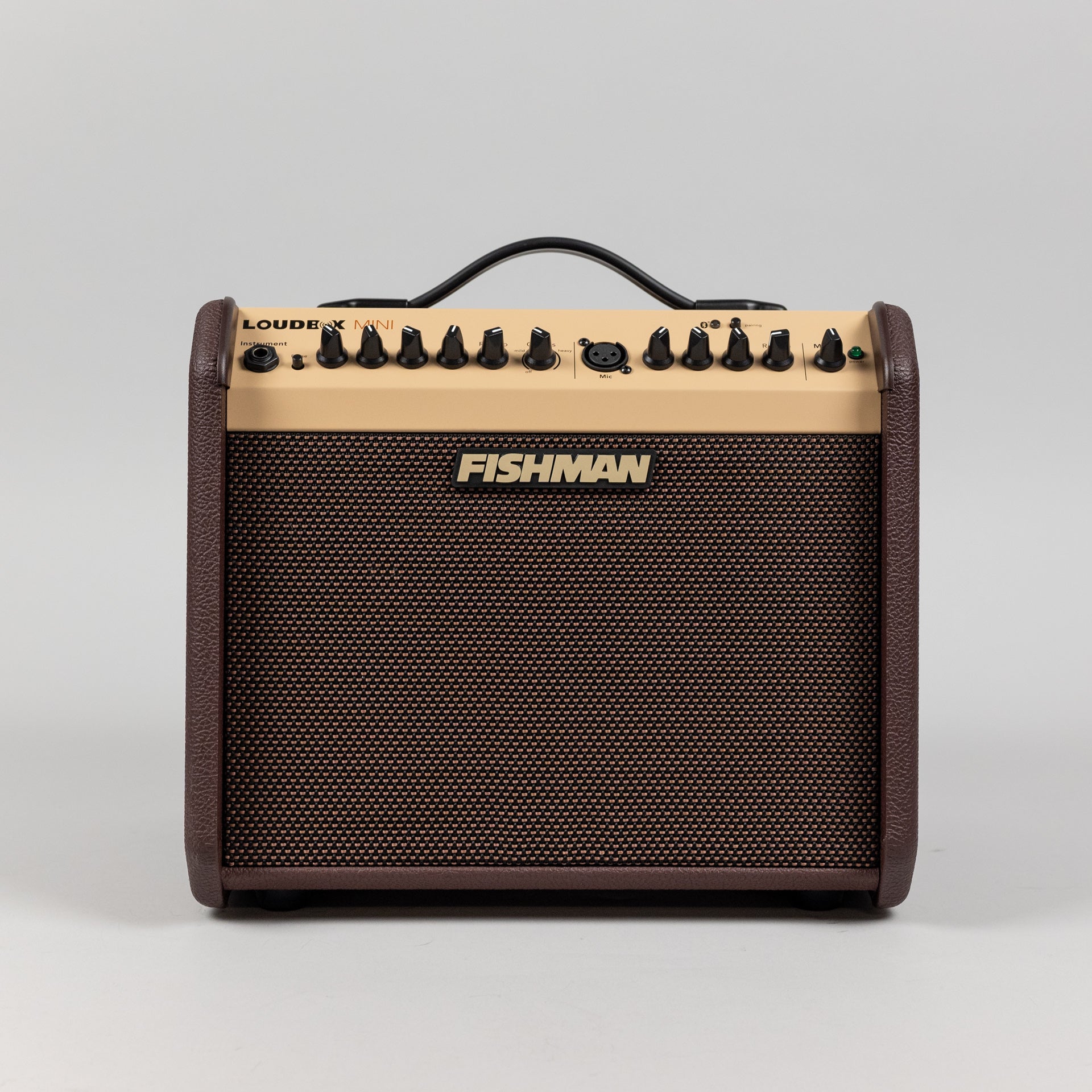 Fishman Loudbox Mini Bluetooth Acoustic Guitar Amplifier