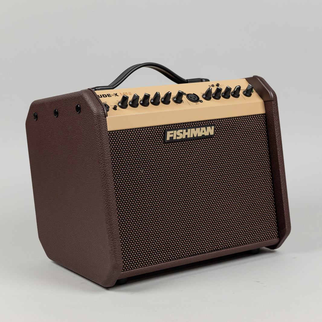 Guitar & Bass Amps – Carlton Music Center