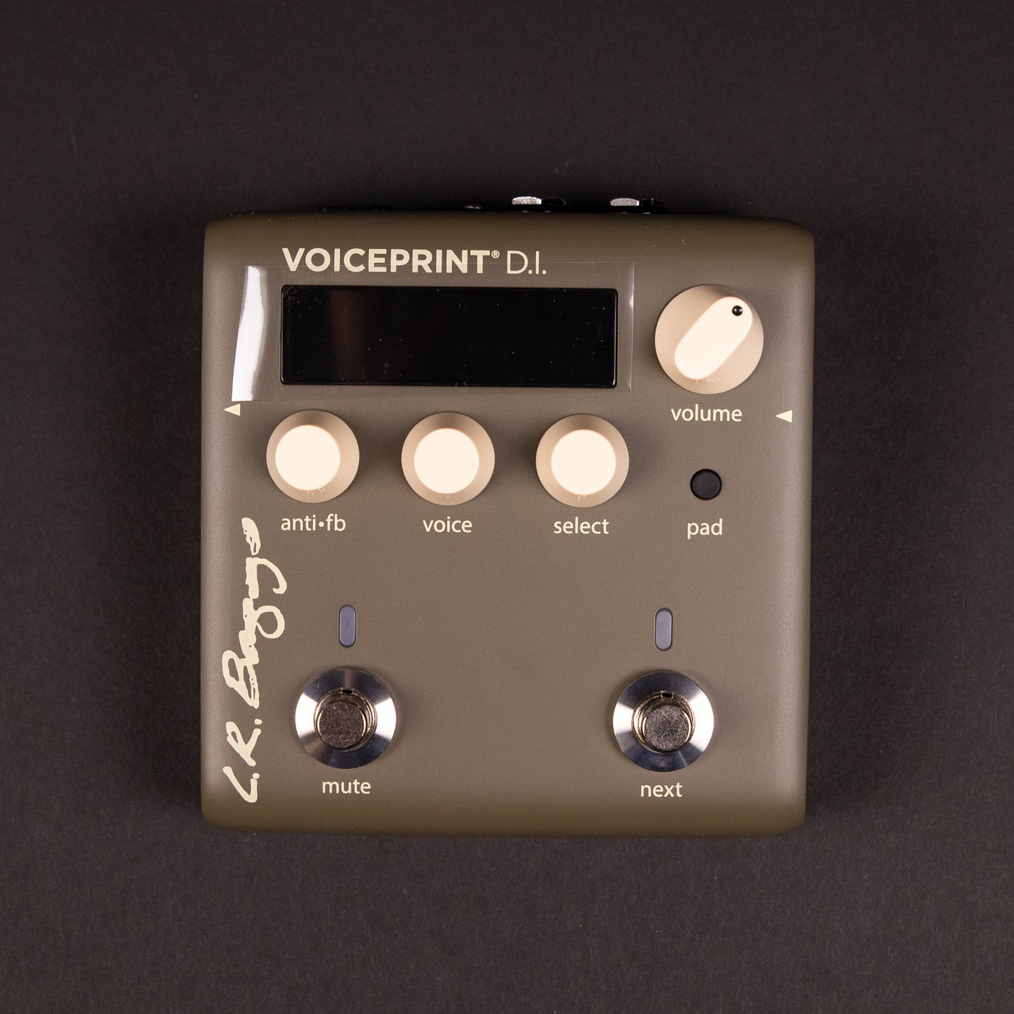 LR Baggs Voiceprint DI Acoustic Guitar Impulse Response Pedal