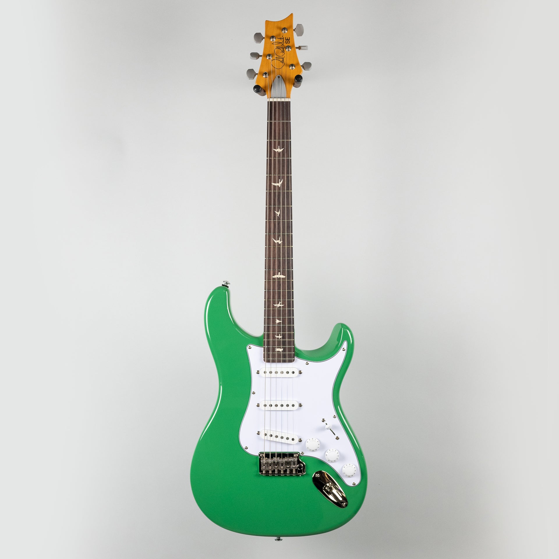 PRS SE Silver Sky - Ever Green