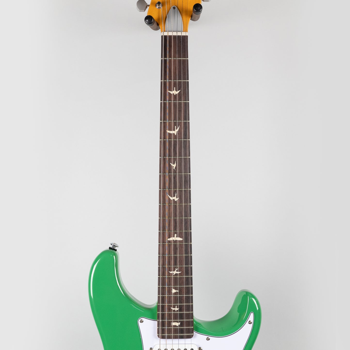 Paul Reed Smith SE Silver Sky in Ever Green