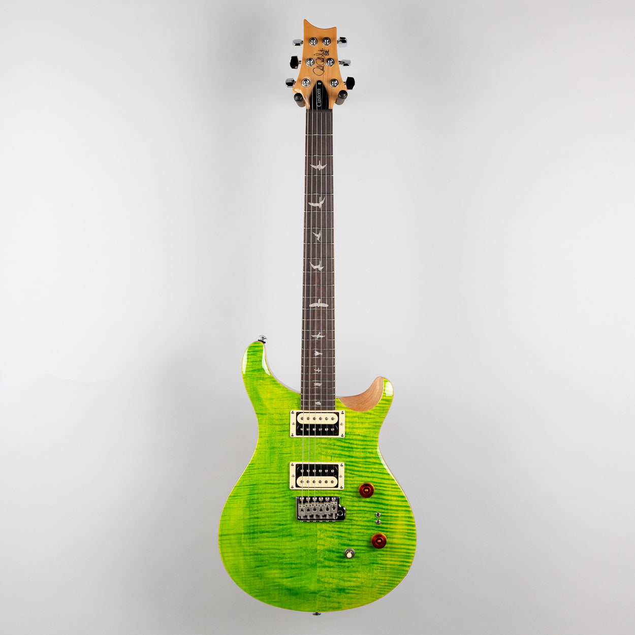 Paul Reed Smith SE Custom 24-08 in Eriza Verde (CTIE44477)