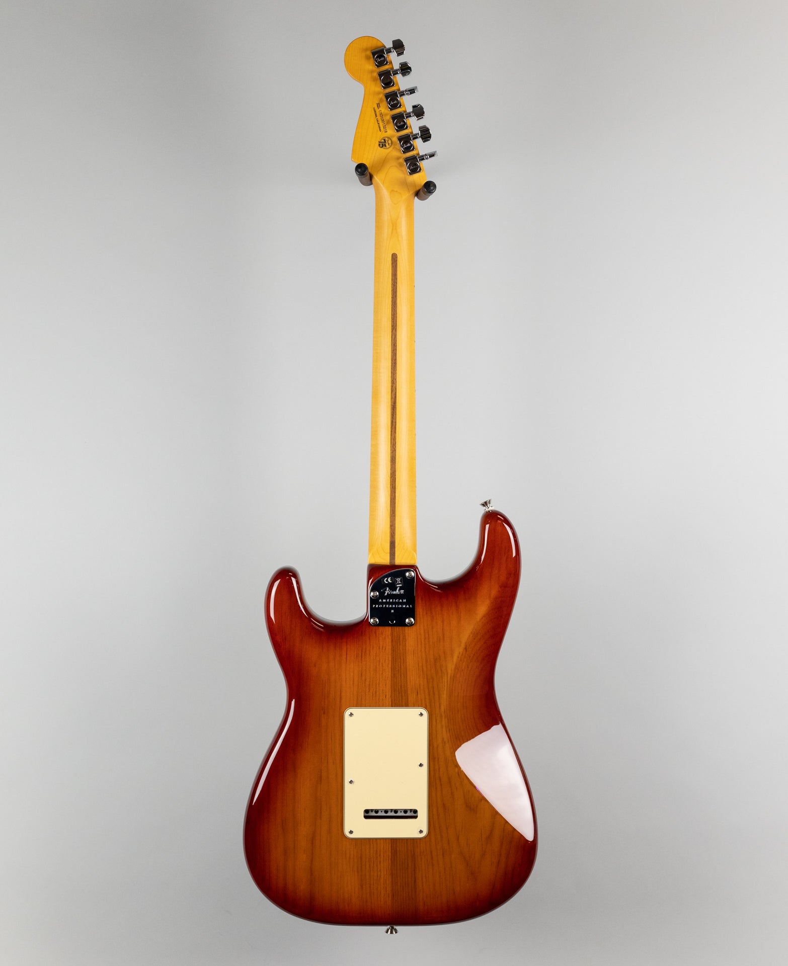 Fender American Professional II Stratocaster in Sienna Sunburst