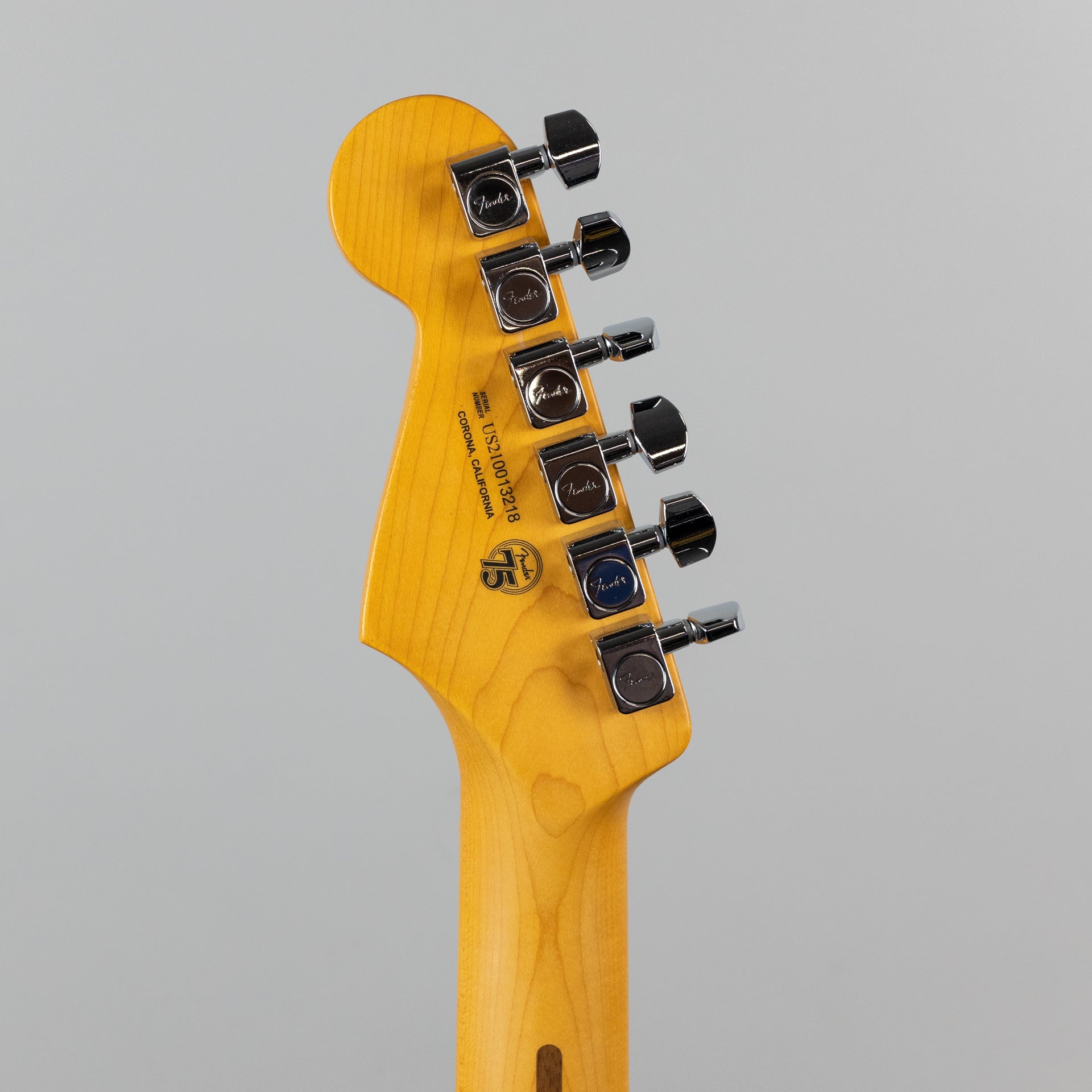 Fender American Professional II Stratocaster in Sienna