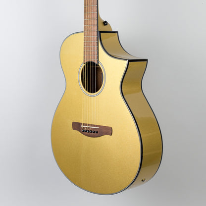 Ibanez AEWC10-DGM Acoustic Guitar in Dark Gold Metallic High Gloss