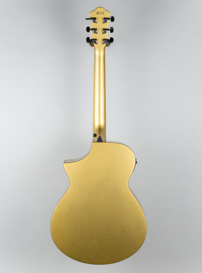 Ibanez AEWC10-DGM Acoustic Guitar in Dark Gold Metallic High Gloss