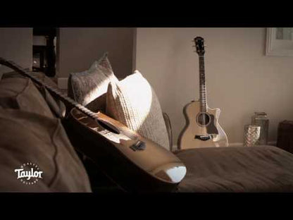 TaylorSense Guitar Health Monitoring System for Taylor Guitars