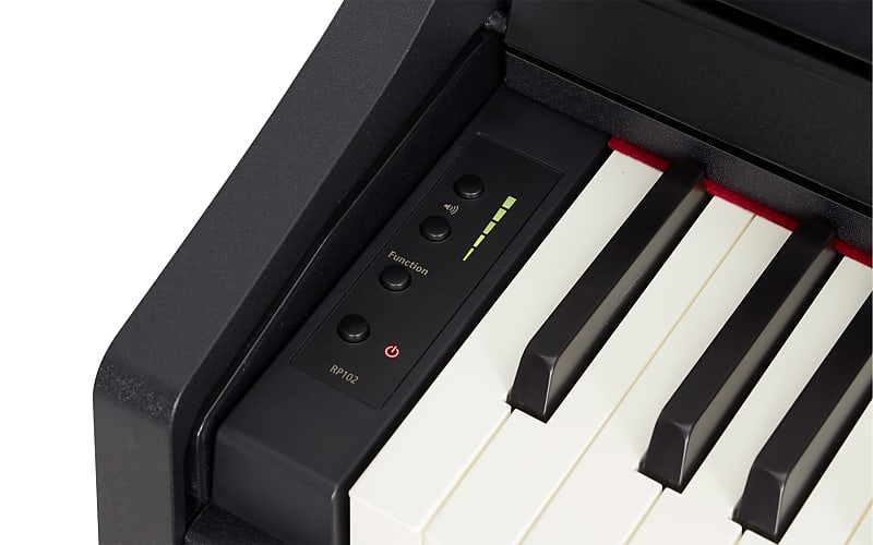 Roland RP-102 Digital Piano, Stand & Pedal Unit Included, in Black